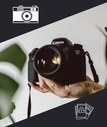 Best cameras for beginners