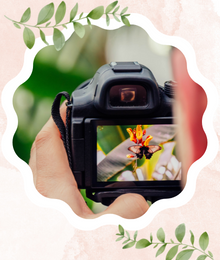 Wildlife photography a practical guide