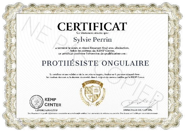 Certificat de formation a la conception dongle