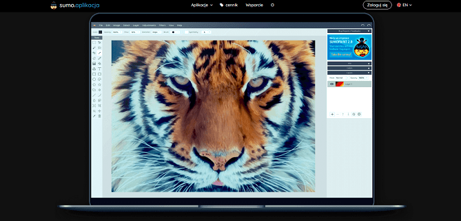 online graphics program